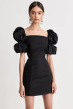 Manches bouffantes Fourreau Col carré Petite robe noire