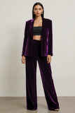 Velours Violet Foncé Pointe Revers 2 Pièces Femmes Costumes