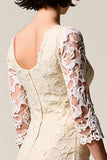 Dentelle Ivoire Fourreau Robe Courte