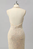 Robe De Soirée longue dos ouvert sirène sirène sirène à paillettes