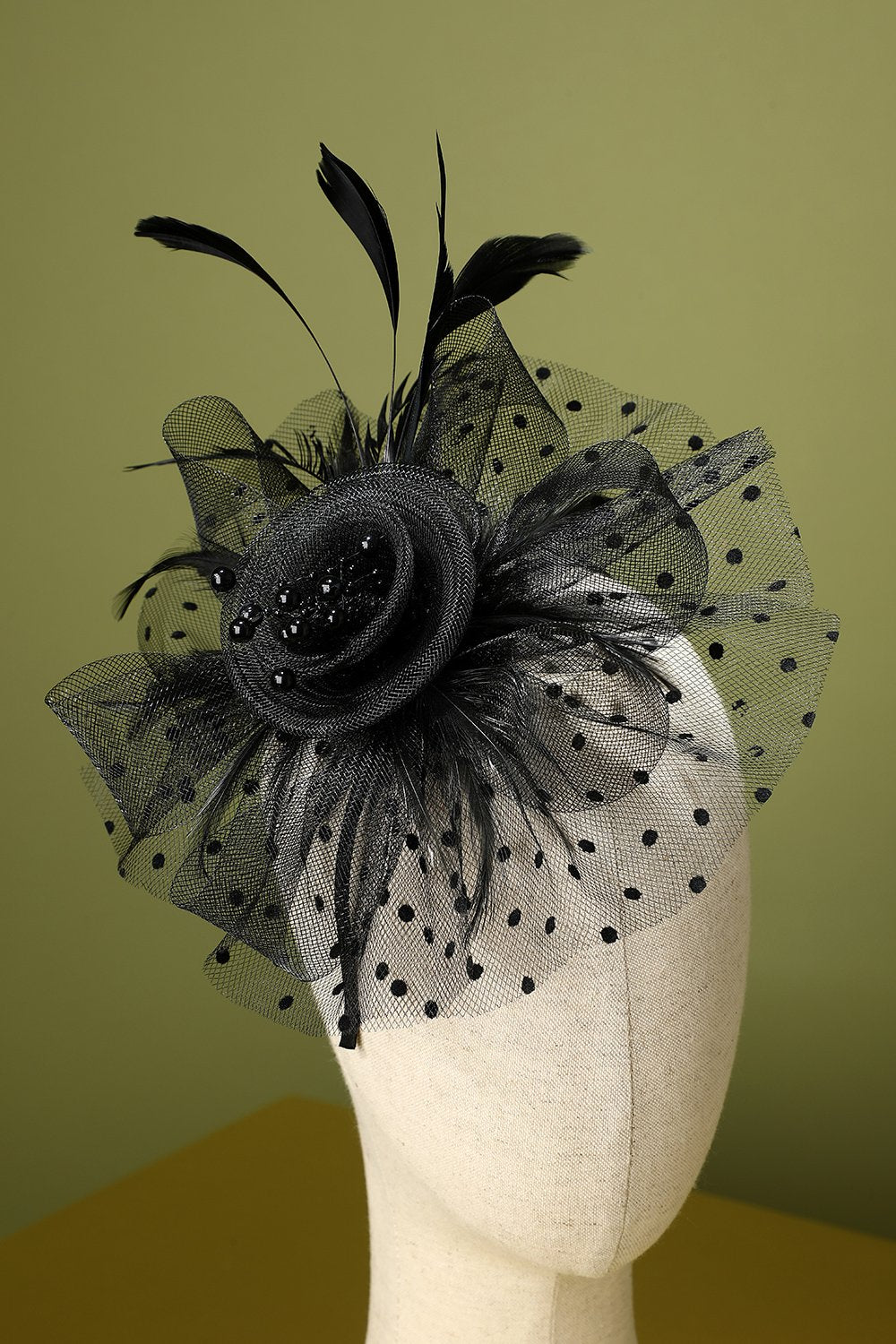 Plumes noires