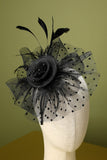 Plumes noires