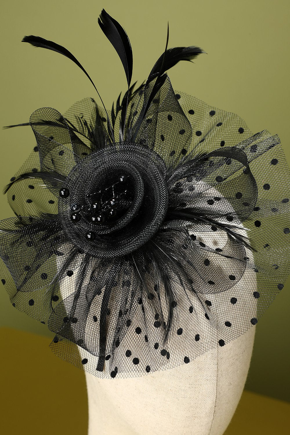 Plumes noires