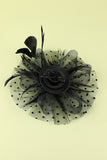 Plumes noires