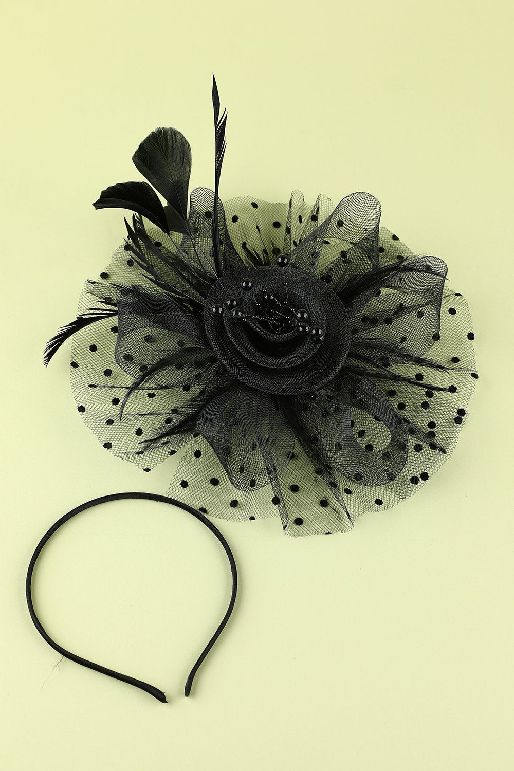 Plumes noires