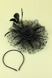 Plumes noires