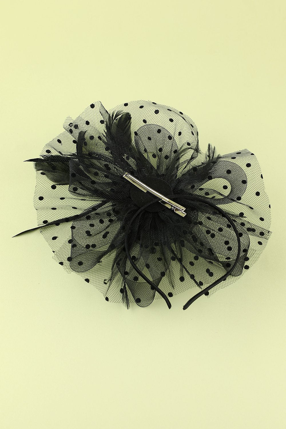 Plumes noires