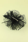 Plumes noires