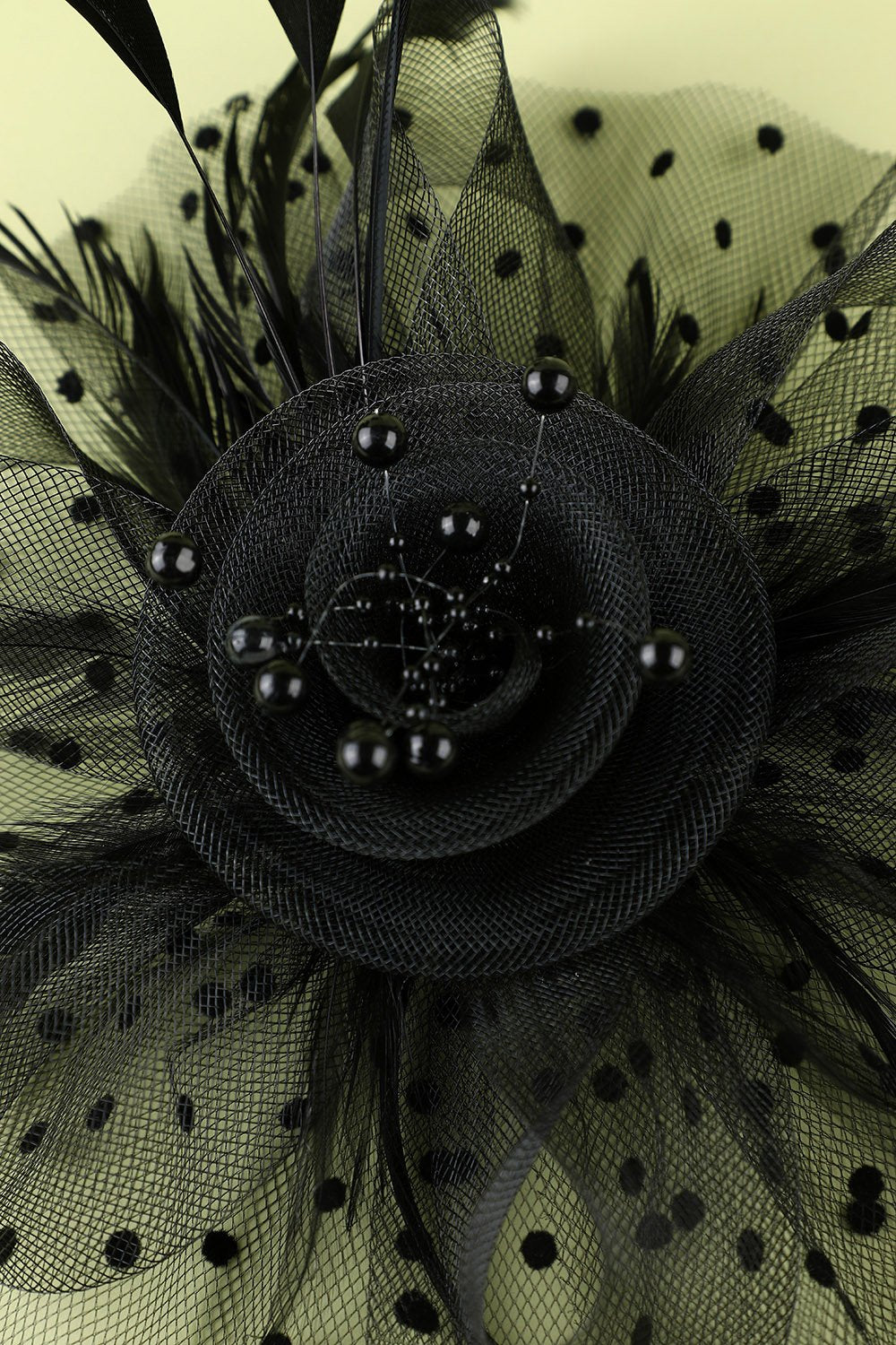 Plumes noires