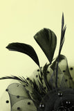 Plumes noires