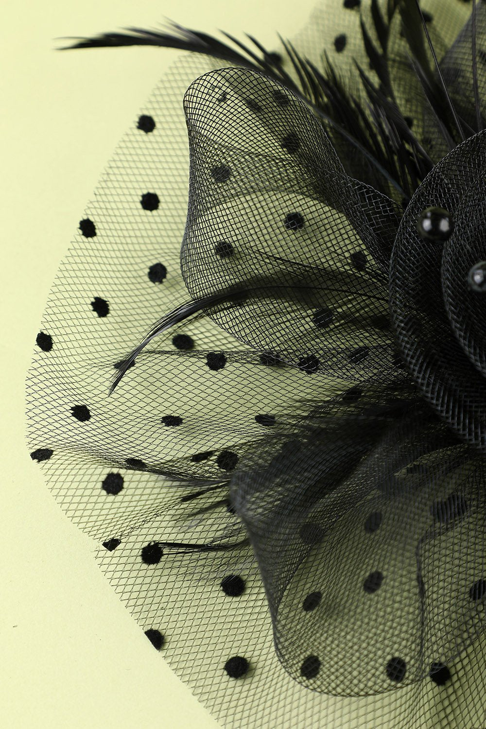 Plumes noires