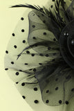 Plumes noires