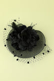 Bandeau Année 1920  Rétro en Tulle avec Perles Plumes noire