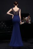 Robe Blush Mermaid Prom