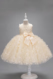 Champagne Princesse Papillon Tulle Robe de fille avec nœud