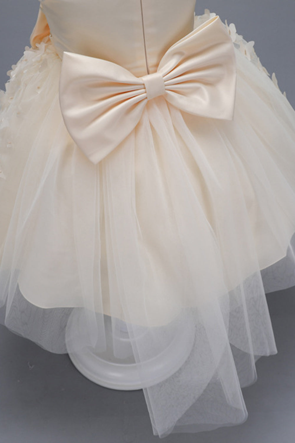 Champagne Princesse Papillon Tulle Robe de fille avec nœud