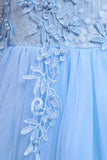 Robes de filles bleues perlées de tulle avec appliques