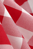 Robe balançoire Rouge Plaid Halter des années 1950