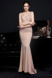 Robe Blush Mermaid Prom
