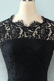 Robe en dentelle Black Bodycon