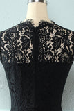 Robe en dentelle Black Bodycon