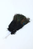 Accessoire des années 20 Peacock Feather Fan