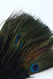 Accessoire des années 20 Peacock Feather Fan