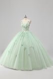 Princesse Robe de Bal Verte Spaghetti Bretelles Tulle Quinceanera Robe avec Appliques de Fleurs 3D