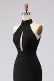 Robe formelle noire sirène dos nu à col halter en satin