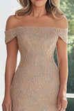 Dentelle taupe applique fourreau épaule dénudée Robe mère de la mariée