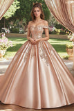 Robe de bal princesse en satin à épaules dénudées fard à joues avec appliques