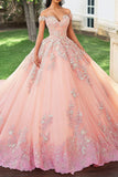 Fard à joues appliqué sur l’épaule dénudée Quinceanera Robe