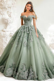 Robe de bal Dusty Sage Épaule Dénudée Tulle Applique Quinceanera Dress