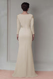 Robe Mère De La Mariée Fourreau Dentelle Fard À Joues À Manches Longues