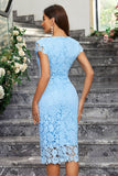 Robe de cocktail en dentelle à col rond fourreau bordeaux