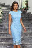 Robe de cocktail en dentelle à col rond fourreau bordeaux