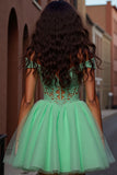 Tulle vert clair une robe courte de retour à la maison avec appliques