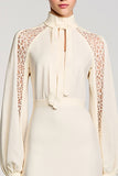 Manches longues Col haut Dentelle ivoire Robe