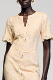 Fourreau en dentelle Abricot Robe
