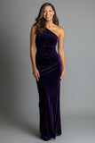 Robe longue formelle en velours à une épaule fourreau prune