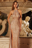 Robe de soirée sirène longue champagne perlée et pailletée