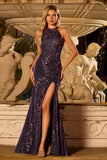 Robe de bal longue de bal à paillettes en dos nu en raisin en dos nu et en forme de silêne