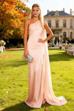 Robe de cérémonie rose à une épaule froncée en sirène avec serpentin latéral