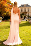 Robe de cérémonie rose à une épaule froncée en sirène avec serpentin latéral