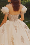 Robe de bal princesse blush épaules dénudées Tulle Quinceanera Robe avec appliques