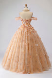 Robe de bal Champagne épaule dénudée robe princesse Quinceañera