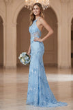 Robe longue de demoiselle d’honneur à dos ouvert à dos nu, bleu clair avec broderie