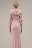 Blush velout, fourreau à col bateau, longue robe de mère de la mariée appliquée avec des fleurs 3D