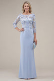 Blush velout, fourreau à col bateau, longue robe de mère de la mariée appliquée avec des fleurs 3D