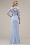 Blush velout, fourreau à col bateau, longue robe de mère de la mariée appliquée avec des fleurs 3D